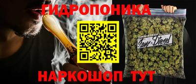гидра Братск