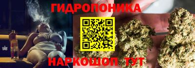 ГАЛЛЮЦИНОГЕННЫЕ ГРИБЫ Боровичи