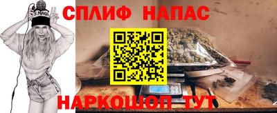 гидра Братск