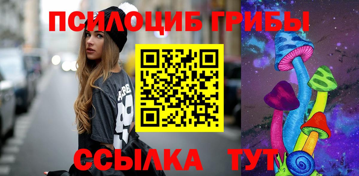 Псилоцибиновые грибы ЛСД  Вход с VPN  Заинск 