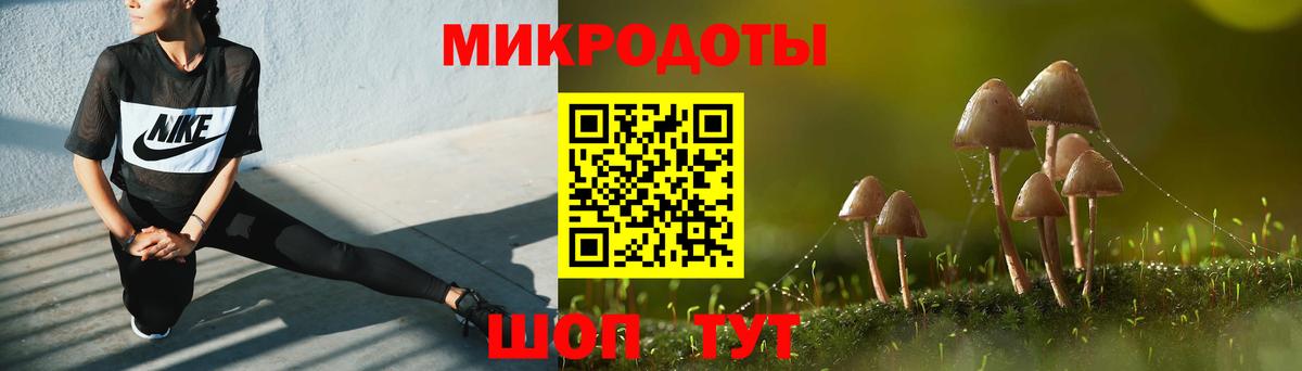 Псилоцибиновые грибы Psilocybine cubensis Заинск